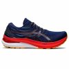 Running Shoes * | Asics Gel-Kayano 29 Men'S Running Shoes